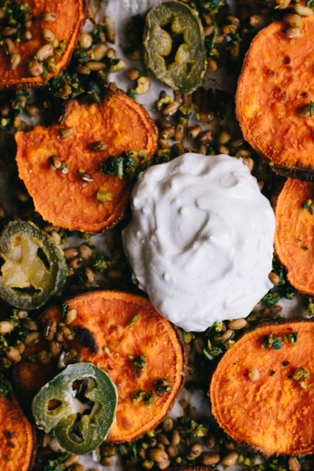 Close up overhead shot of a dollop of sour cream blue cheese dip on a parchment paper covered baking sheet surrounded by sweet potato crisps, gremolata, barley, and jalapeño slices.