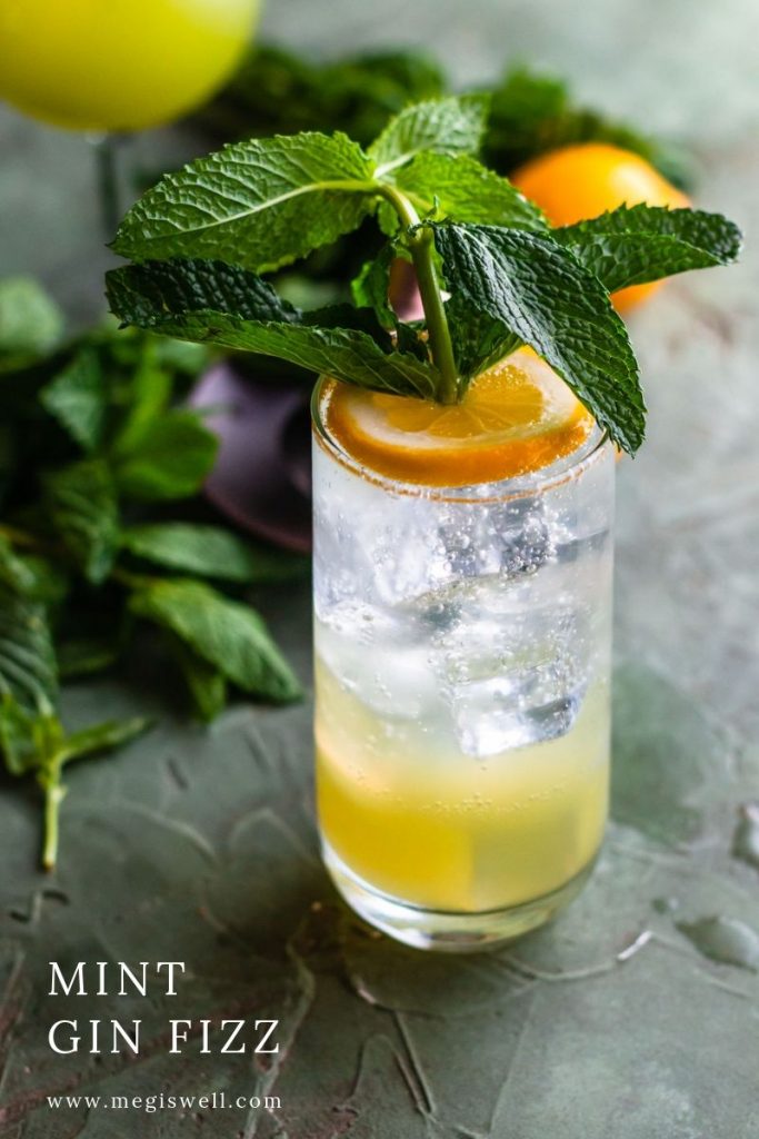 This Mint Gin Fizz gets it aromatic zing from muddled mint and a Lemon Shrub with Cardamom and Mint. It’s refreshing, fizzy, and cooling, perfect for hot spring or summer days! | Gin Bar | DIY | Cocktail Recipe | #ginfizz #shrubcocktail #megiswell #meganwellsphotography | www.megiswell.com