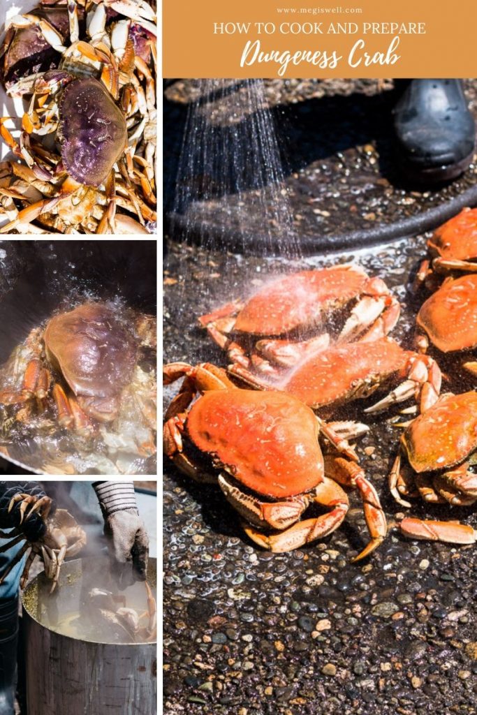 Learn how to prepare Dungeness crab + Video. | How to Cook | How to Clean | How to Boil | How to Cook Whole | How to Eat | Seafood | Shellfish | Oregon | Fish & Wildlife | Ocean Life | #dungenesscrab | www.megiswell.com