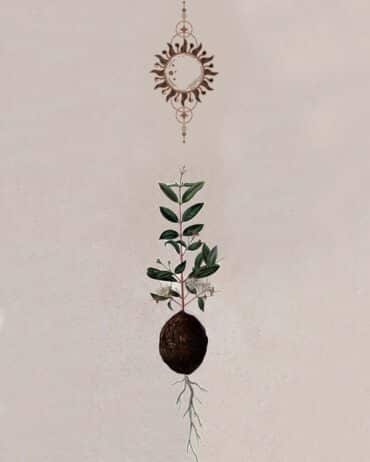 A plant grows out of a peach pit, reaching up to a sun symbol.